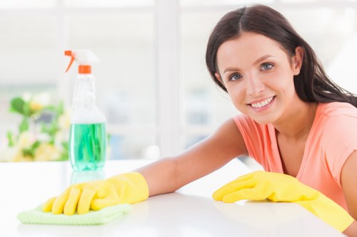 Professional oven cleaning service for homes in W1G