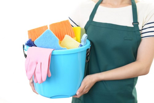 Local oven cleaning service for fitted appliances in W1G