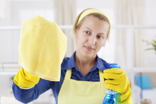 Professional carpet cleaning for a W1G home interior
