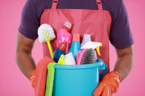 Regular home cleaning in a W1G flat near Marylebone
