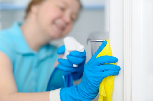 End of tenancy and deep cleaning support for properties in W1G