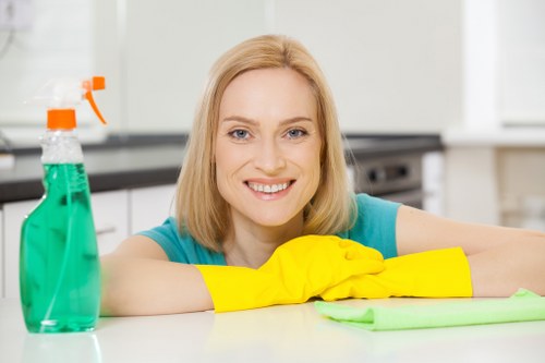 Domestic cleaner working in a W1G apartment living room