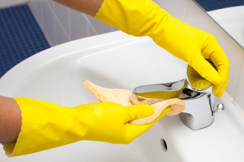 Professional cleaning service for a home or office in W1G