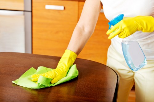Deep cleaning tasks in a W1G kitchen and living space